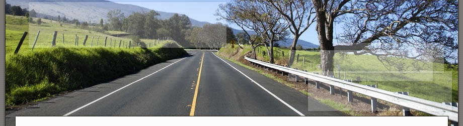 Bob's Driving School